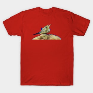 Devil fish T-Shirt